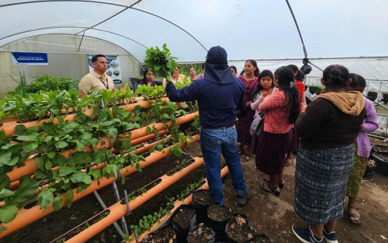 CADER: espacios de aprendizaje que transforman el campo guatemalteco