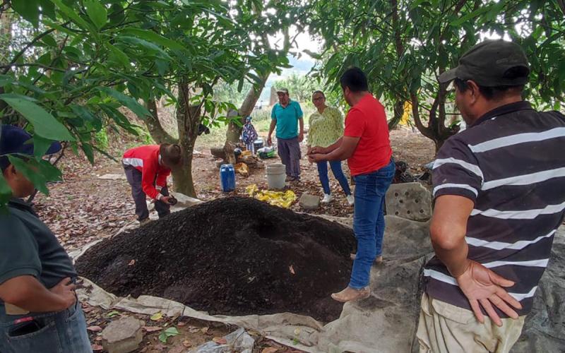 Abono Bocashi: fertilidad para los cultivos y ahorro para los productores 