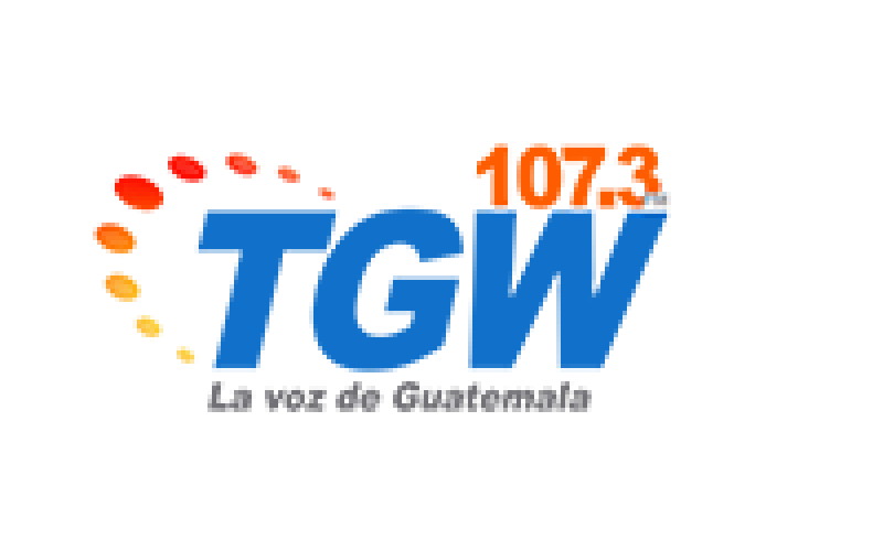 Chapinlandia en Vivo: Un Grito de Civismo y Democracia en el TSE