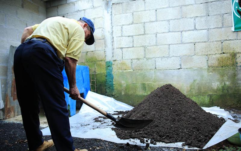 Abono orgánico fortalece la agricultura sostenible y reduce costos
