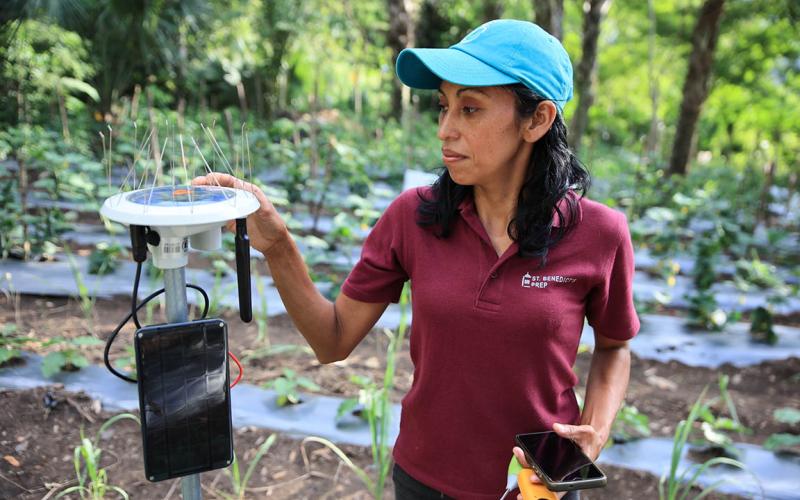Agricultura digital impulsa la productividad y sostenibilidad de los cultivos en Guatemala