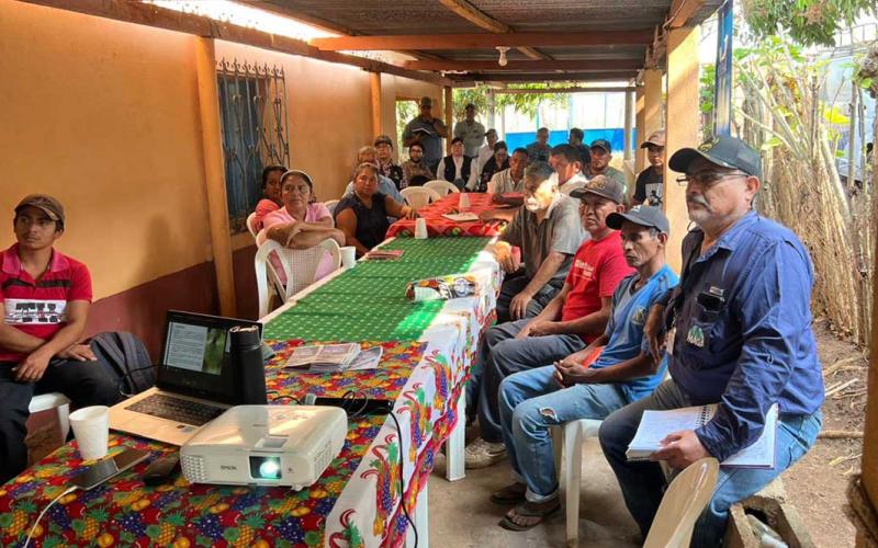 Apuestan por la tilapia para mejorar su alimentación y generar ingresos
