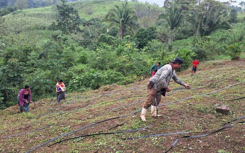 Avanza proyecto de captación de agua con instalación de microriego