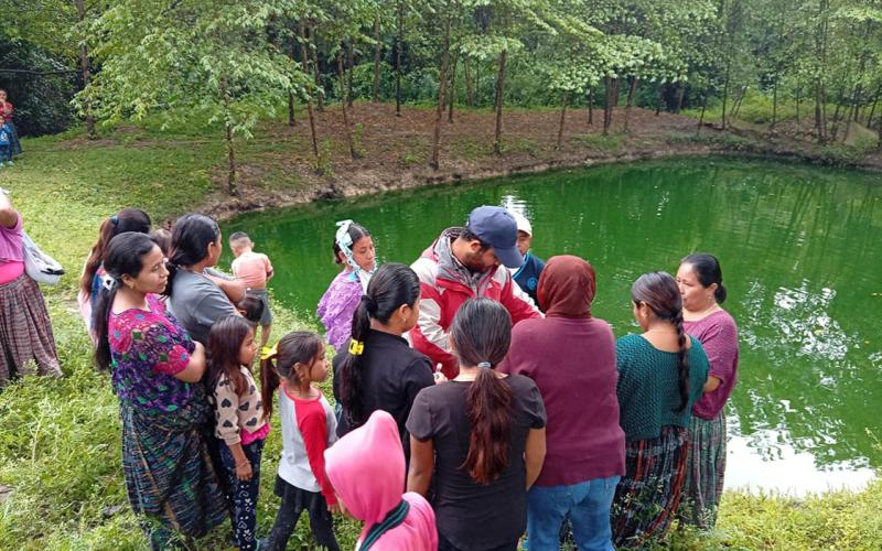 Brindan asistencia para mejorar el cultivo de tilapia en Sayaxché