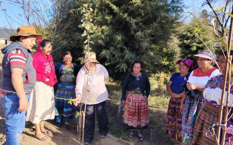 Buenas prácticas agrícolas fortalecen frutales de productores de Salcajá 