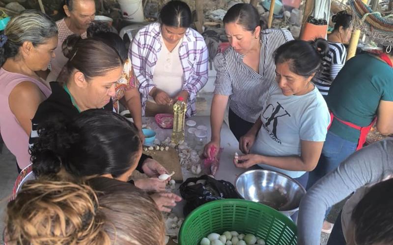Capacitan a familias en técnicas de envasado artesanal