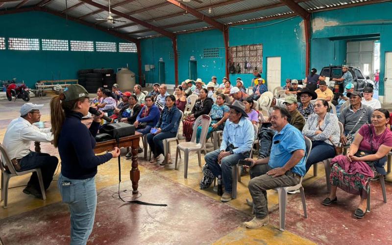 Capacitan a productores pecuarios para prevenir y controlar el Gusano Barrenador 