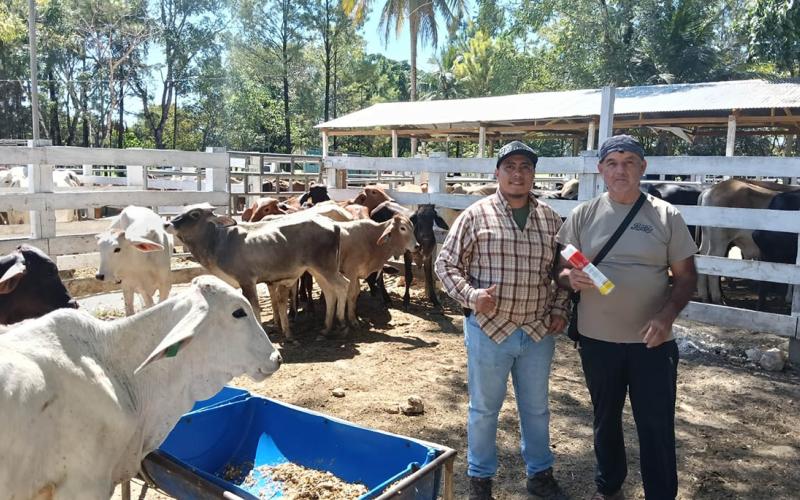 Cifra récord de inspecciones pecuarias contra el Gusano Barrenador 