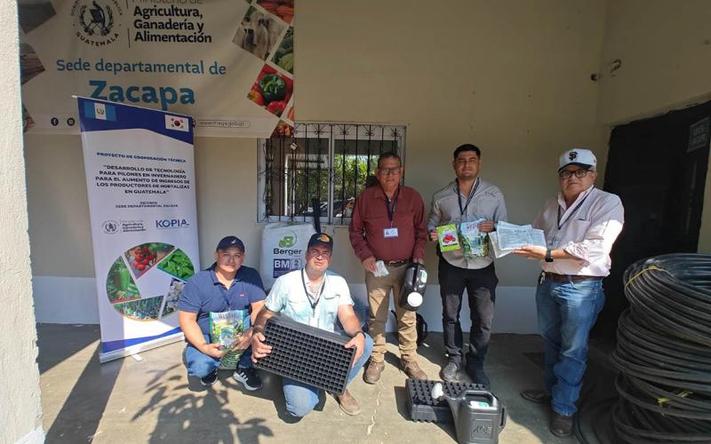 Cooperación coreana fortalece producción de pilones en Zacapa