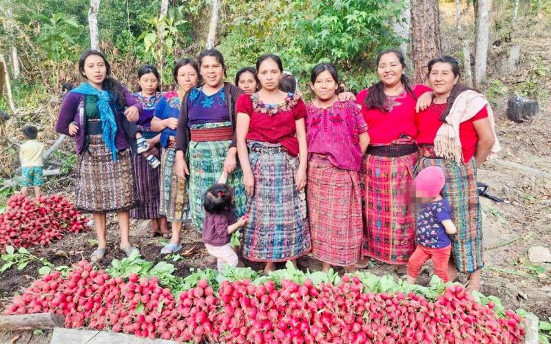 Cosechas de huertos familiares fortalecen seguridad alimentaria en Baja Verapaz 