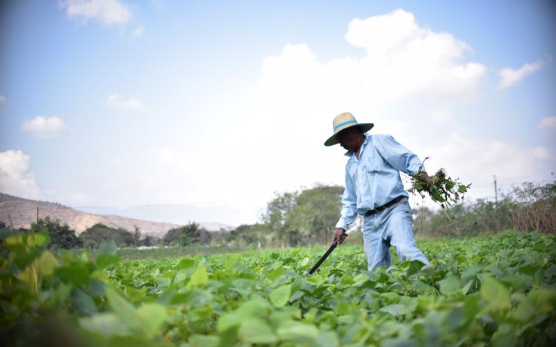 Crédito Tob’anik otorgó más de 96 millones de quetzales