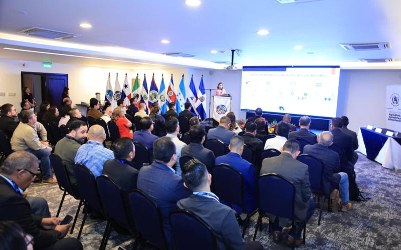 Destacan esfuerzo guatemalteco para controlar al Gusano Barrenador 