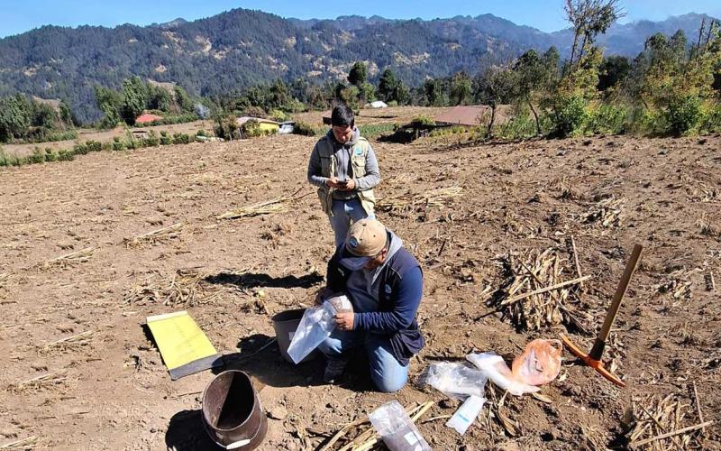 En marcha levantamiento de muestras de suelo en San Marcos para elaborar mapa de fertilidad