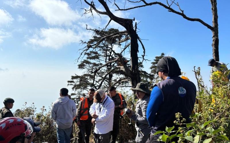 Evalúan regeneración vegetal y brechas cortafuego en zonas vulnerables de Suchitepéquez