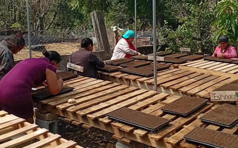 Familias agricultoras de Chiquimula inician camino hacia la prosperidad