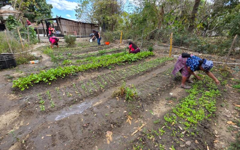 Familias de Rabinal aseguran su cosecha y nutrición con sistemas de reserva hídrica