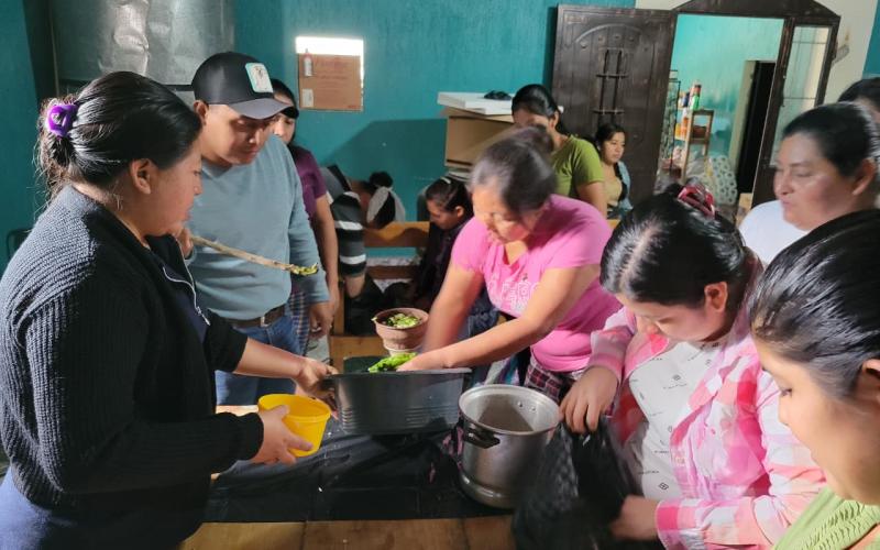 Fertilizantes agroecológicos hacen crecer las hortalizas de Chiquimula