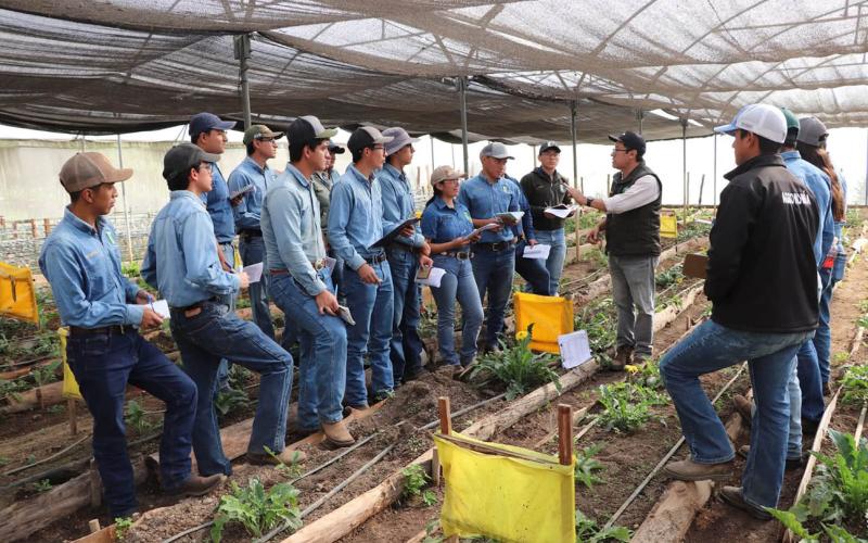 Fortalecen formación de estudiantes para el desarrollo de los sectores forestal y agrícola