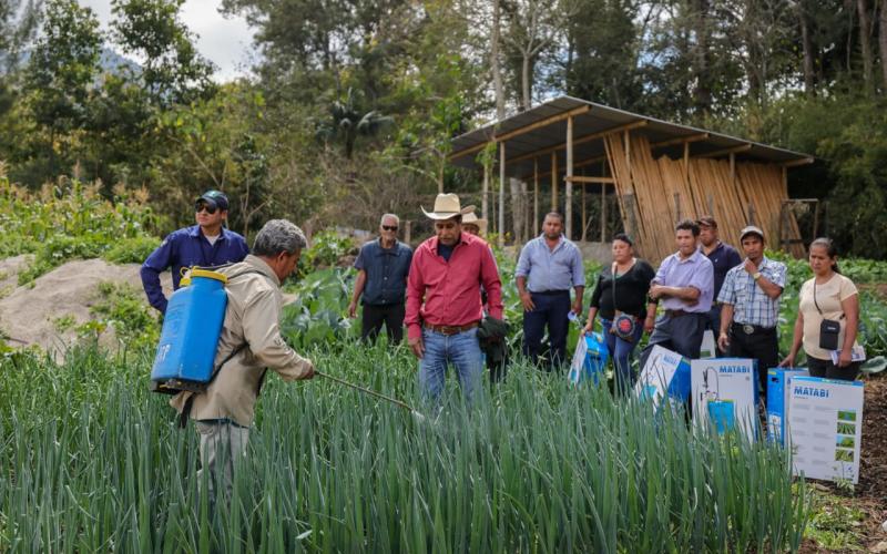 Fortalecen producción con equipo y capacitación para 150 agricultores en Palencia
