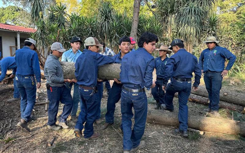 Futuros peritos desarrollan habilidades en la cadena de transformación de la madera