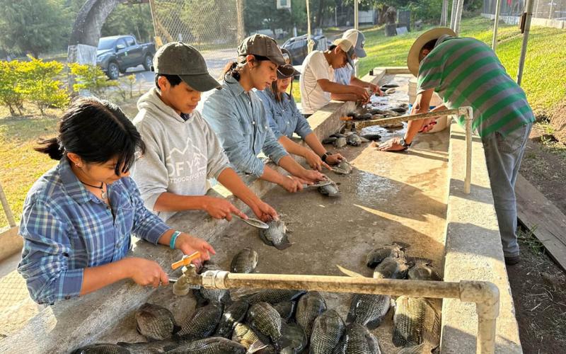 Futuros profesionales del agro realizan prácticas en acuicultura y fruticultura en Amatitlán