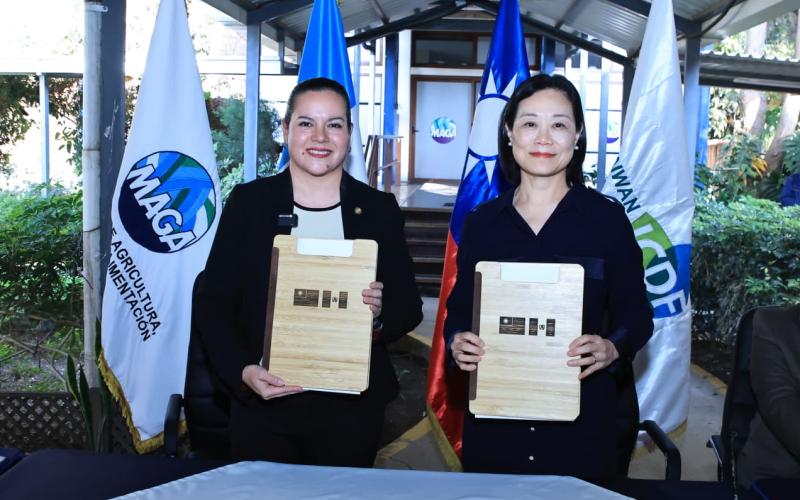 Guatemala y Taiwán fortalecen la industria del bambú con nuevo convenio