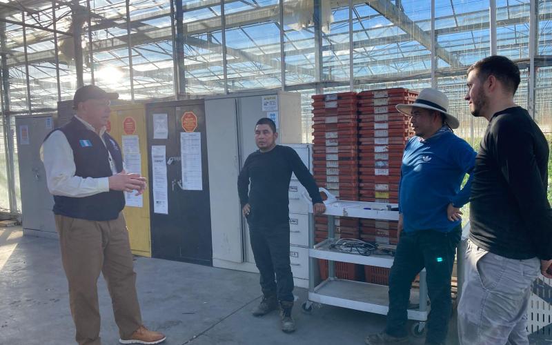 comunicado del Minex