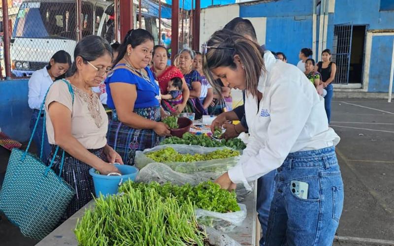 Huertos familiares escalonados fortalecen seguridad alimentaria familiar