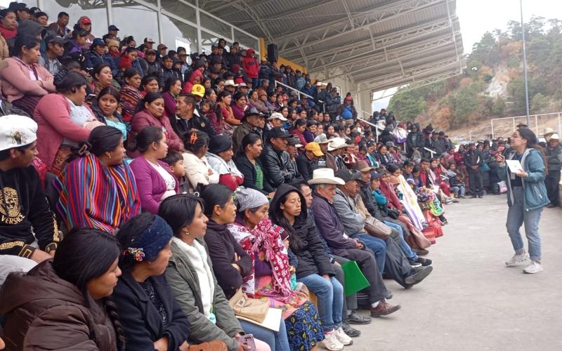 Huertos familiares fortalecen alimentación e ingresos de hogares en el altiplano