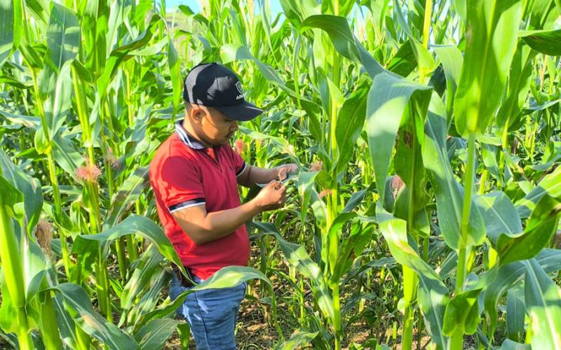 Identifican daños por humedad y bajas temperaturas