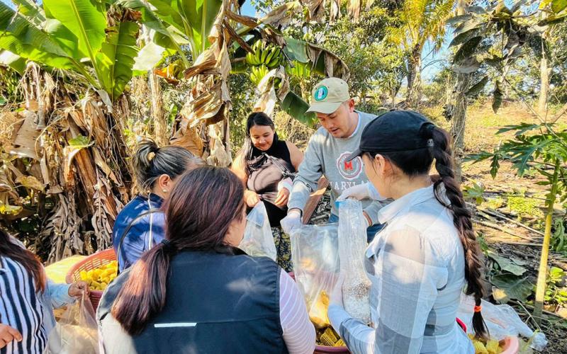 Impulsan el cultivo de hongo ostra en comunidades de Baja Verapaz