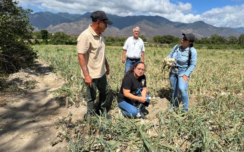 Impulsan el desarrollo rural con asistencia para agricultores de Chispan