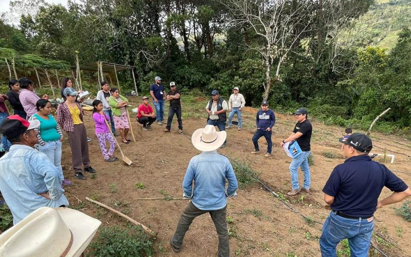 Impulsan el establecimiento de huertos para promover la disponibilidad de alimentos