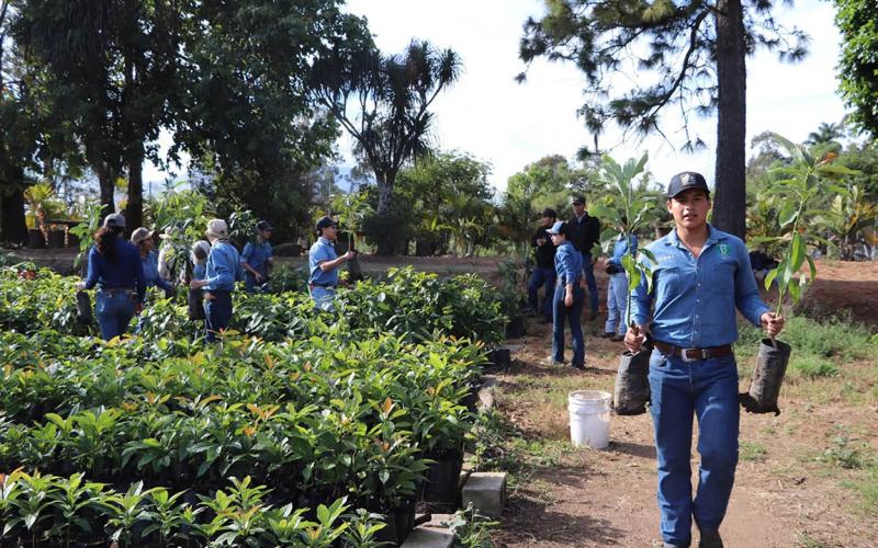 Impulsan formación especializada en injertación de frutales bajo el modelo "Aprender Haciendo"