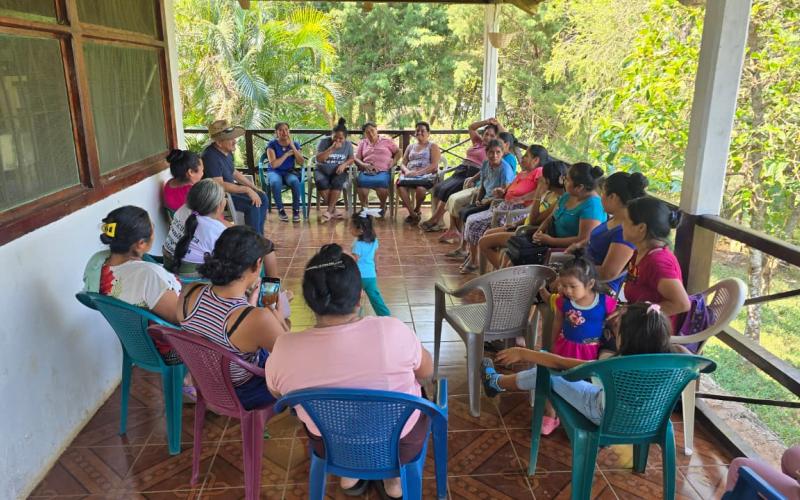 Impulsan la rentabilidad porcina y la crianza tecnificada