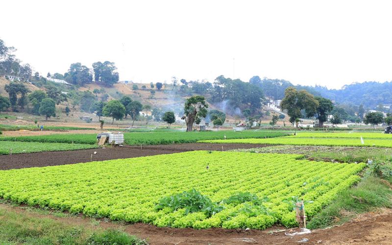 Inicia semana de frío intenso y fuertes vientos