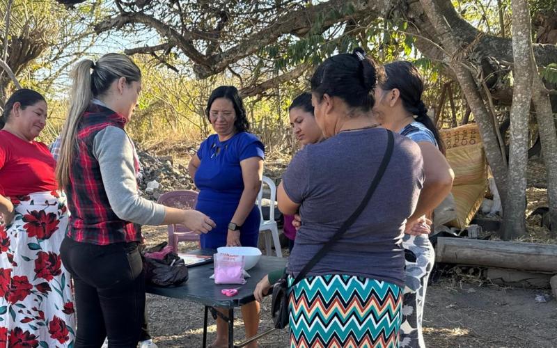 Mejoran sanidad avícola con insumos naturales