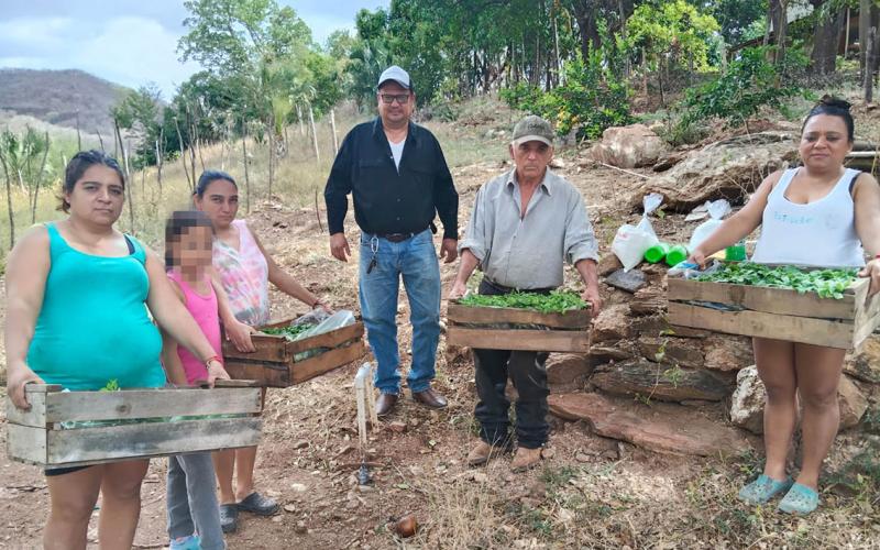 Mejoran seguridad alimentaria al diversificar cultivos en Conguaco