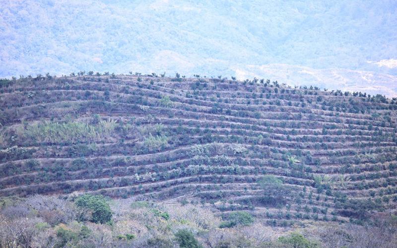 Monitoreo en 278 municipios por riesgo de frío, calor extremo y vientos