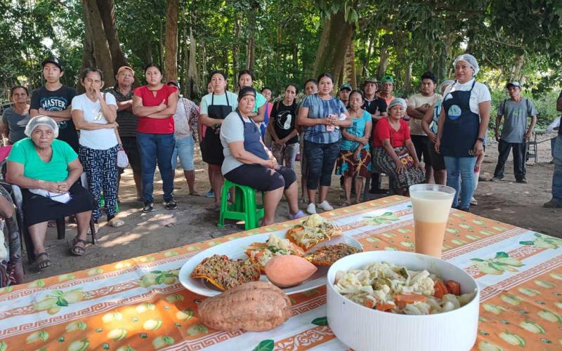 Optimizan la seguridad alimentaria con técnicas de transformación de camote