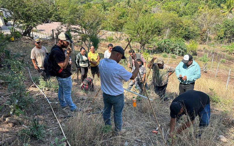 Prácticas agrícolas sostenibles protegen recursos naturales en Río Hondo