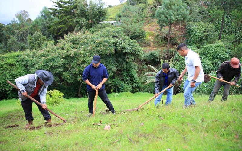 Programas que fortalecen la producción local y garantizan alimentos