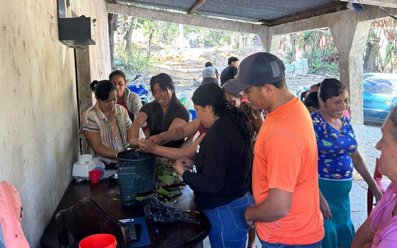 Promueven el aprovechamiento de la sábila para fortalecer la economía familiar