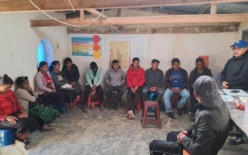 Promueven tecnificación de la producción de arveja dulce en Sololá