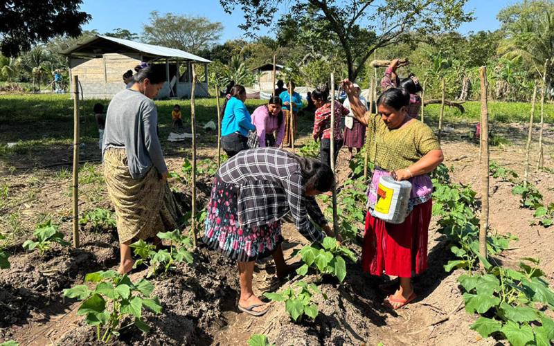 Semillas que se transforman en oportunidades para mujeres de Ixcán