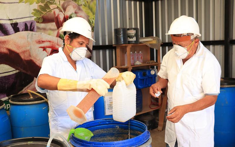 Uso de abonos orgánicos fortalece la producción agrícola familiar