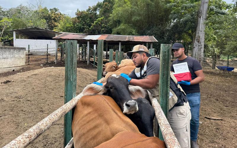 Vacunan animales contra la rabia paralítica