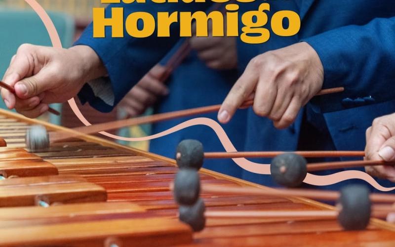 Festival de la Marimba 2026 «Latidos de Hormigo»