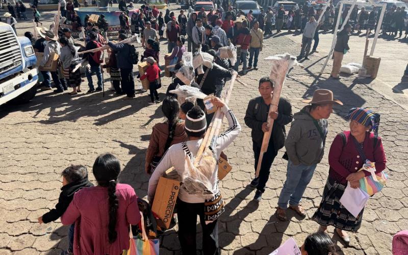 De patio vacío a mesa con comida: familias siembran futuro en casa