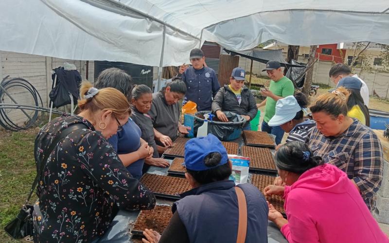 Sembrando futuro: mujeres de Esquipulas transforman el huerto en emprendimiento